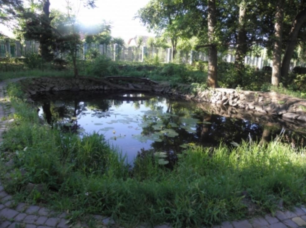 Озеро в Закарпатському обласному еколого-натуралістичному центрі учнівської молоді