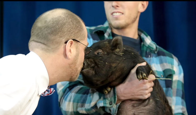 Директор американської школи цілує свиню :)